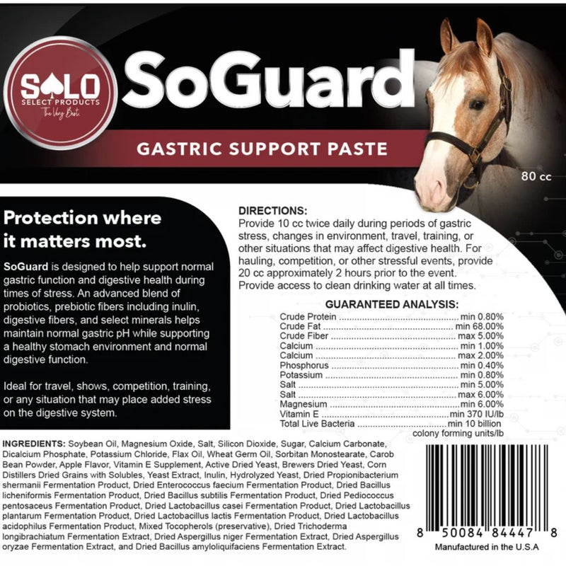 Solo Select Products SoGuard Gastric Support Paste