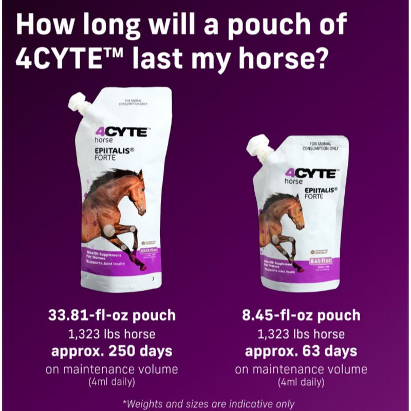 Interpath Global 4CTYE Horse Epiitalis Forte Joint Supplement Gel 1000ml