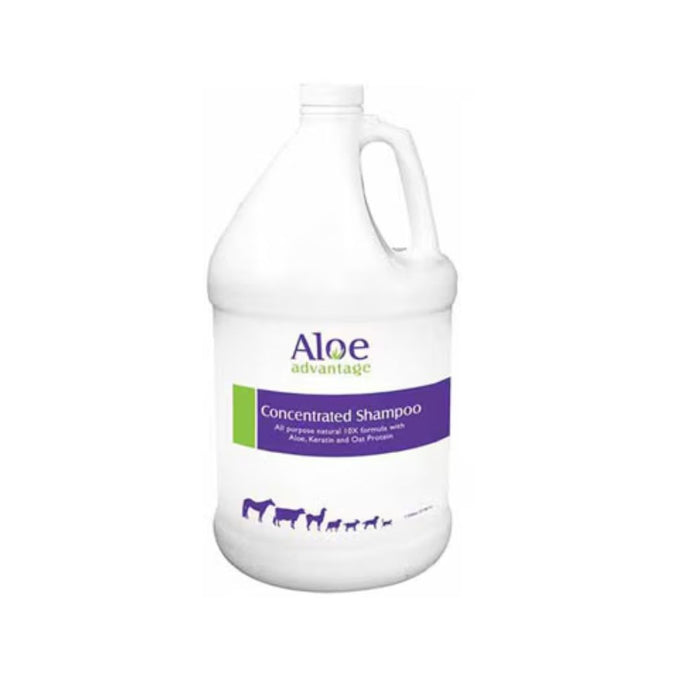 Durvet Aloe Concentrated Shampoo with Aloe Gallon