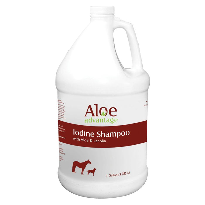 Durvet Aloe Advantage Iodine Shampoo Gallon