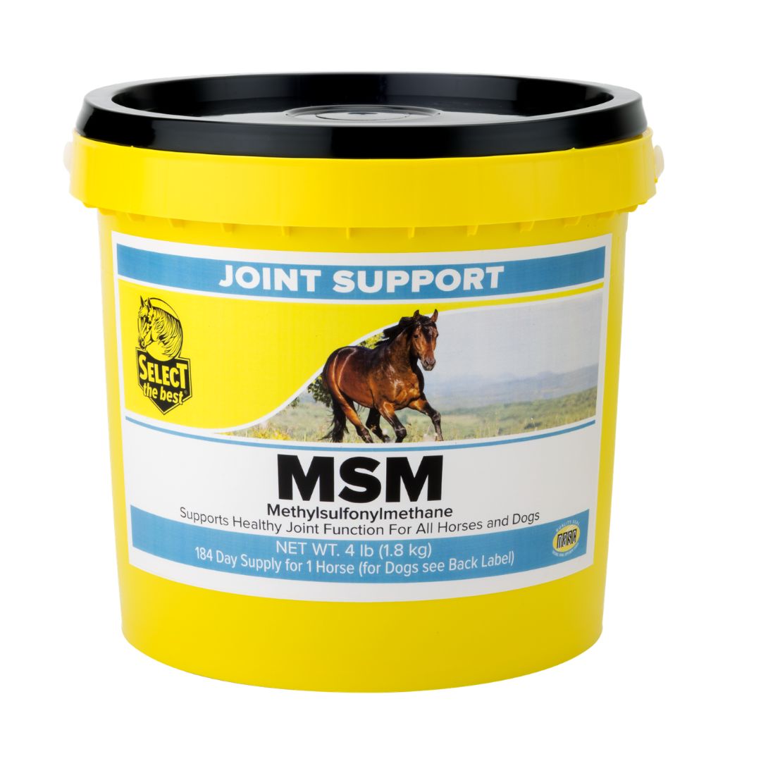 Select The Best Horse Supplements
