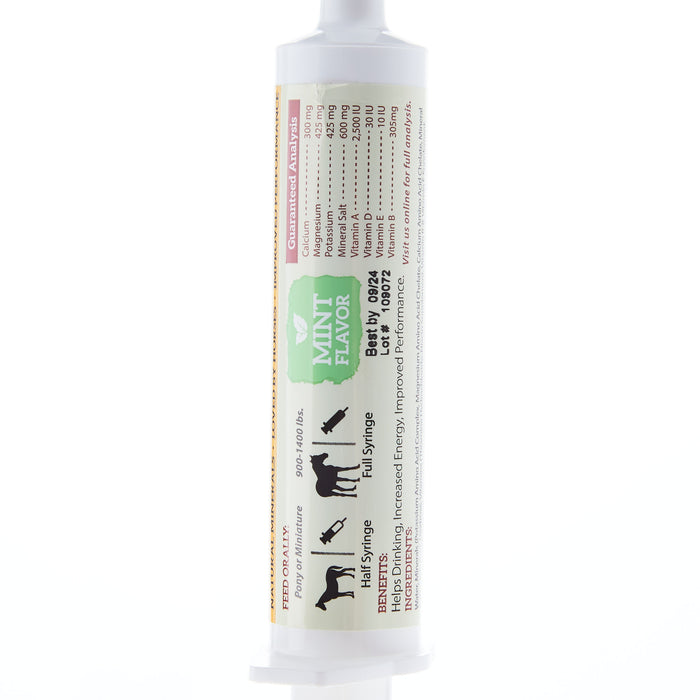 Redmond Equine Electrolyte Syringe