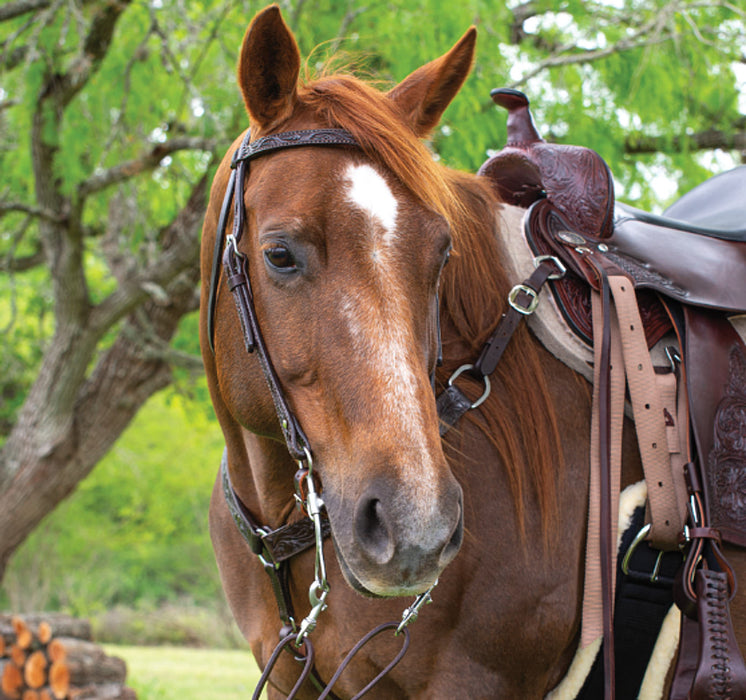 Circle Y Saddlery Classic Floral Browband Headstall