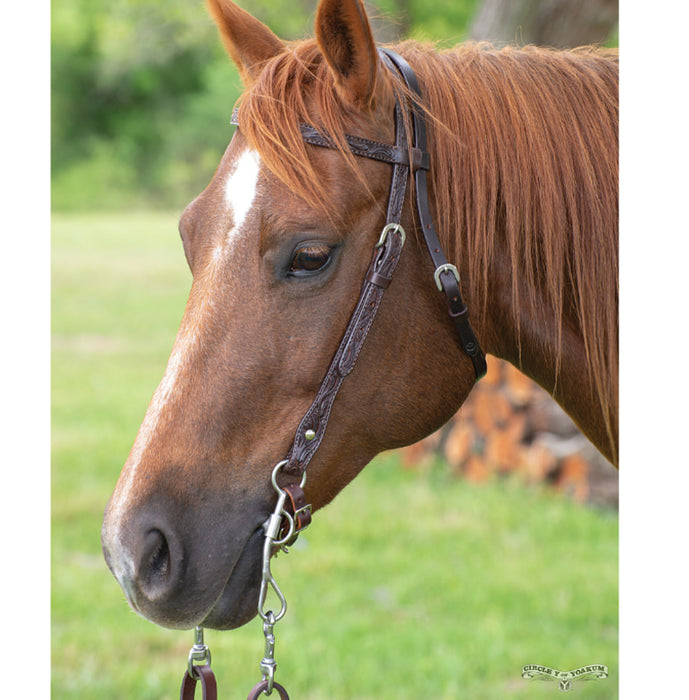 Circle Y Saddlery Classic Floral Browband Headstall