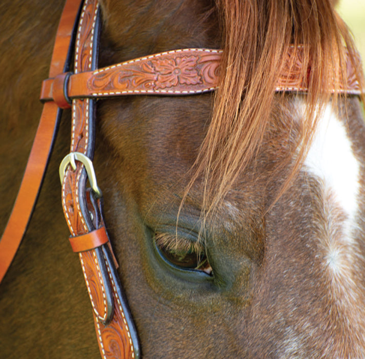 thumbnail image 2 of Tack Shack Of Ocala- Reinsman Circle Y Lightweight Classic Smooth Browband Headstall, Western Headstall, Bridle, Headstall, Leather Headstall, Leather Western Headstall, Headstall For Horses (Black 2 of 11