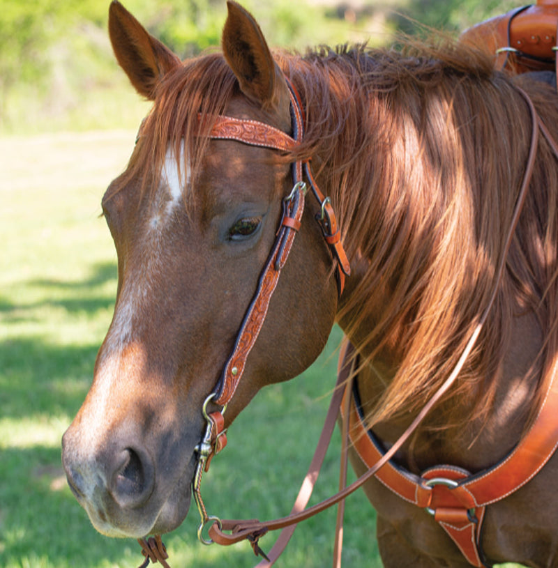 Circle Y Saddlery Scalloped Classic Walnut Floral Browband Headstall