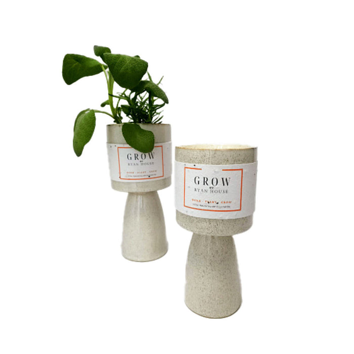 Ryan House Candles Signature Footed Orchid Sea Salt Candle