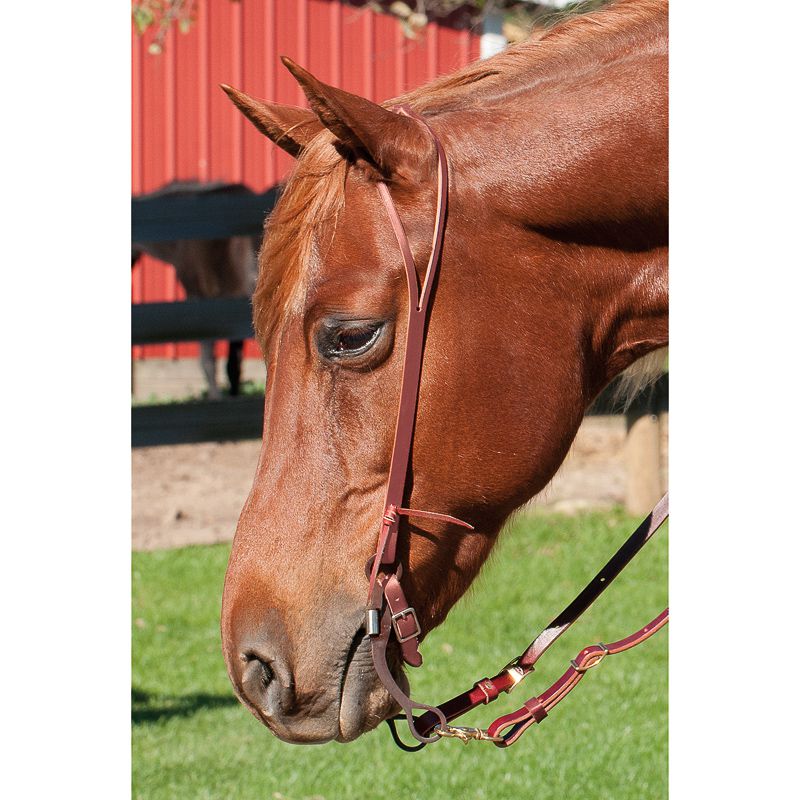 Weaver Leather Latigo Split Ear Headstall