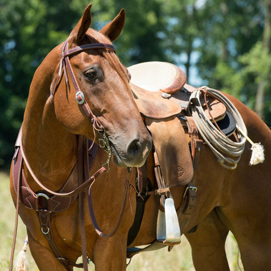 Weaver Leather 5/8in Oiled Browband Headstall