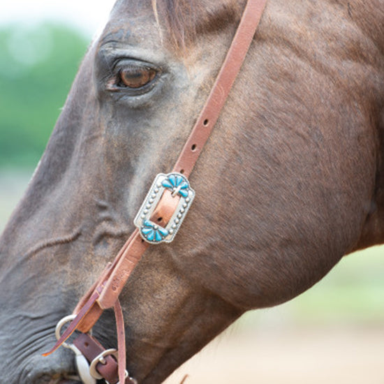 Weaver Leather Protack Turquoise Flower Single Ear Headstall