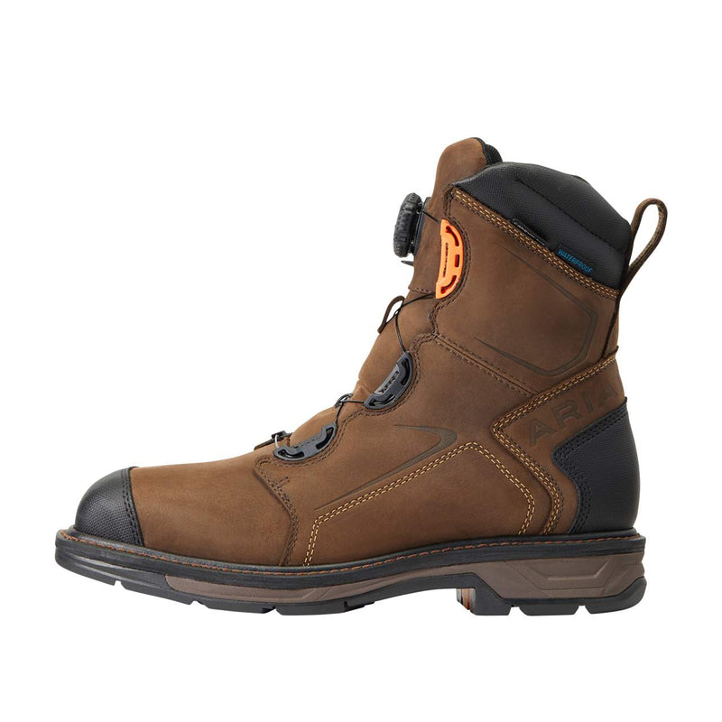 Ariat Men`s Workhog Xt 8in. Boa H20 Chocolate Brown Carbon Toe Work Boot