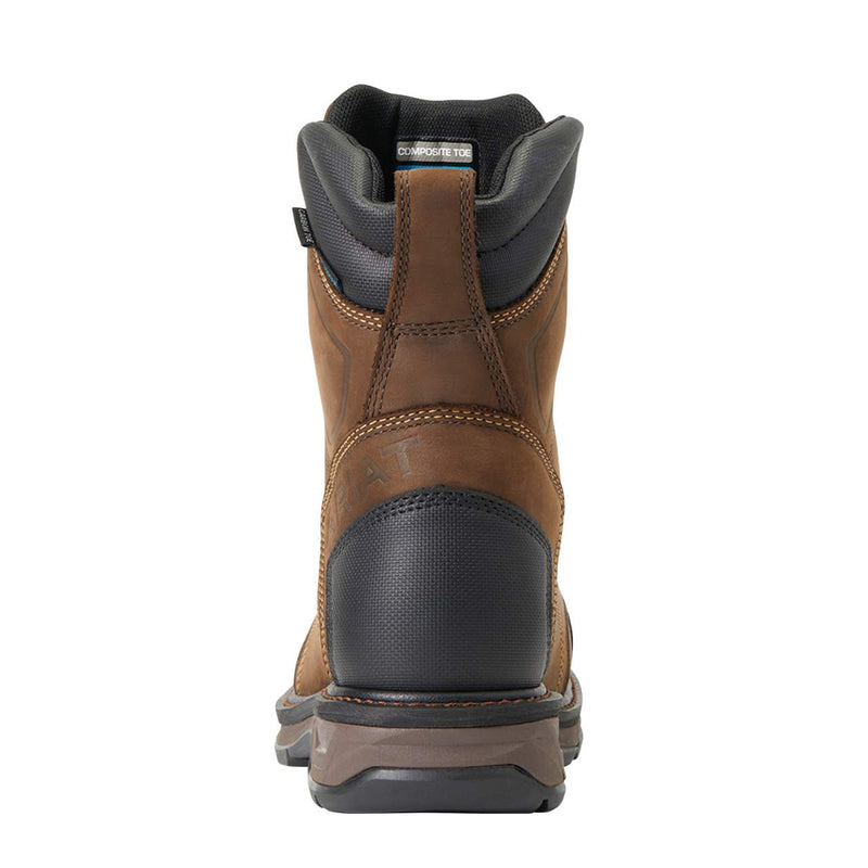 Ariat Men`s Workhog Xt 8in. Boa H20 Chocolate Brown Carbon Toe Work Boot