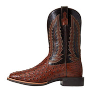 Ariat Men`s Quantum Primo Antique Tobac FQ Ostrich 11in. Thunder Brown Top Square Toe Boots