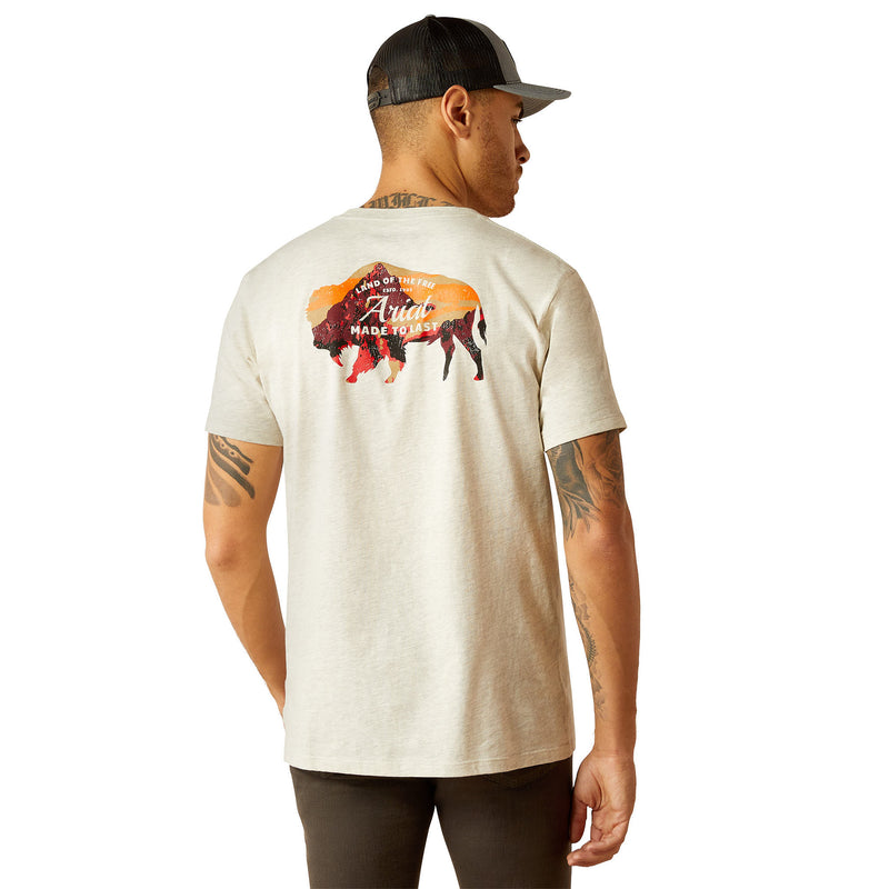 Ariat Men's Bison Landscapes Oatmeal Tee