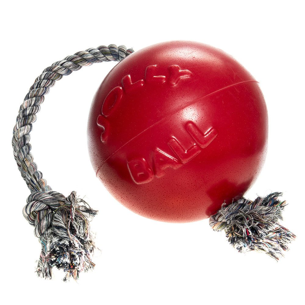 Jolly Pets Dog Toys