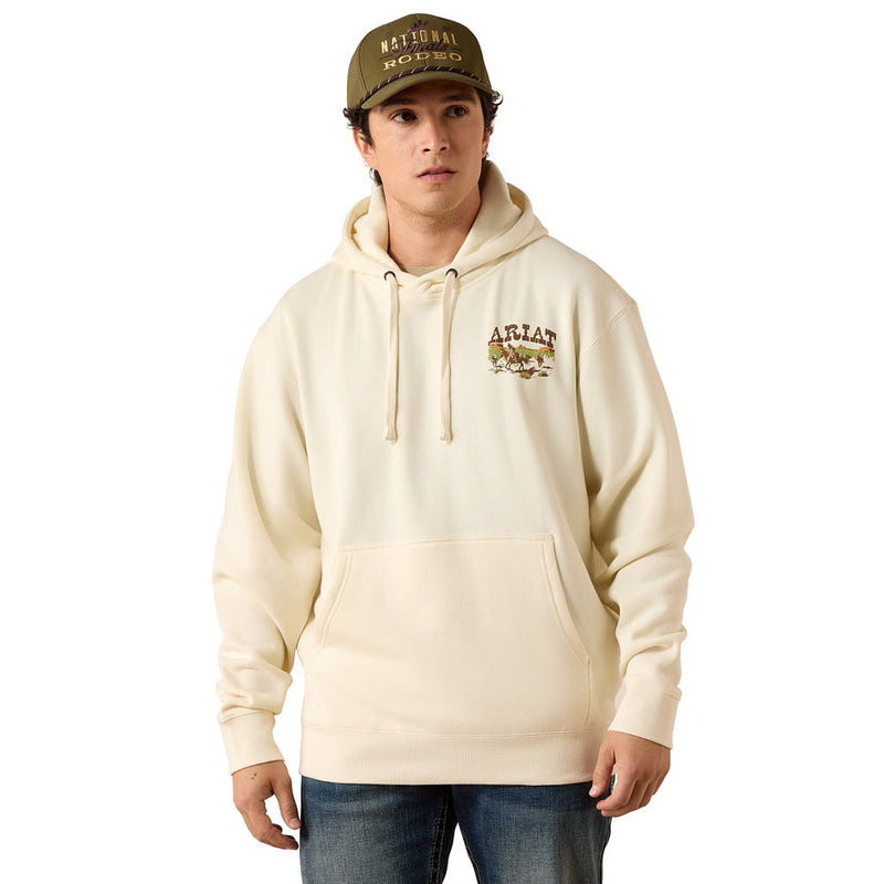 Ariat Men's Turtledove Pulp Hoodie