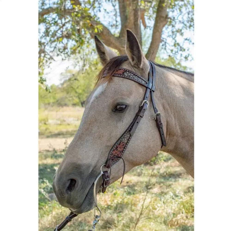 Circle Y Saddlery Dark Flash Arizona Flower Browband Headstall