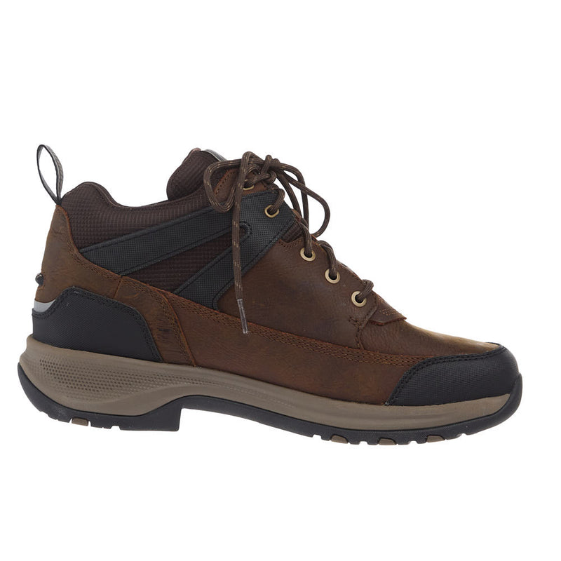 Ariat Men's Terrain Trek Waterproof Dark Chocolate Casual