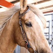 Circle Y Saddlery Blooming Wild Singe Ear Headstall