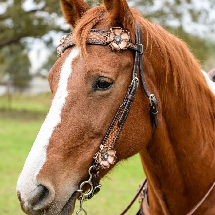 Circle Y Saddlery Dusty Rose Browband Headstall