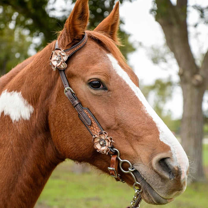 Circle Y Saddlery Dusty Rose Single Ear Headstall