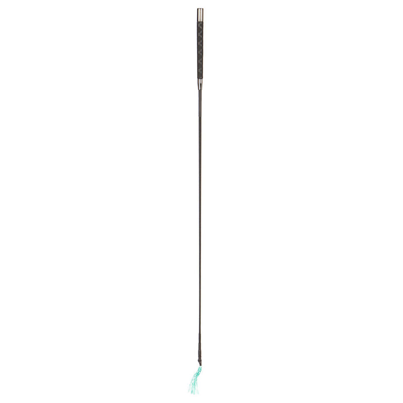 Heads Up Pig Whip 36in Teal