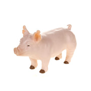 Champion Yorkshire Show Pig