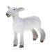 Champion Crossbred Market Lamb