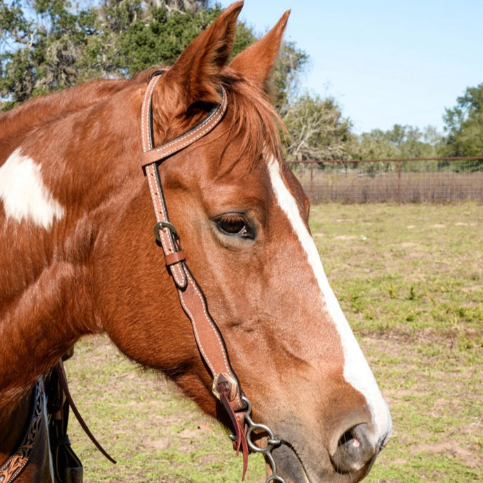 Circle Y Saddlery Oakwood Heavy Oil Single Ear Headstall