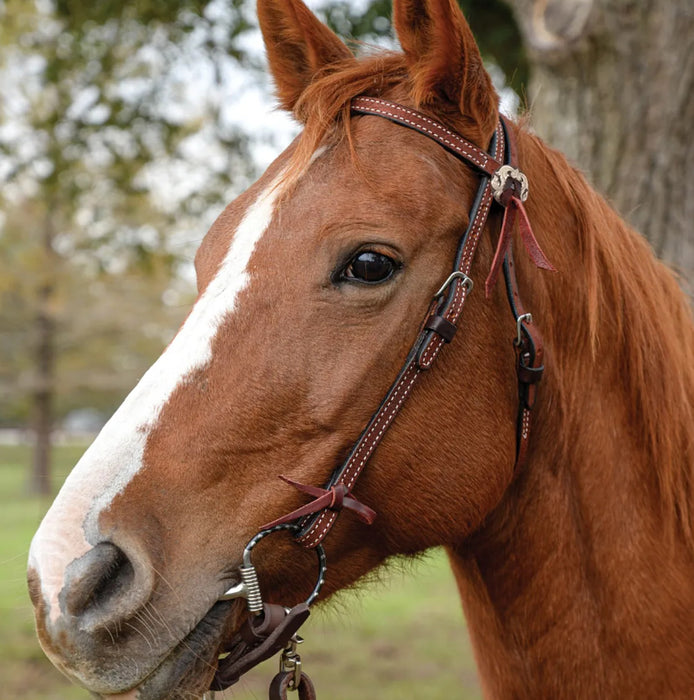 Circle Y Saddlery Burnett Chestnut Browband Headstall