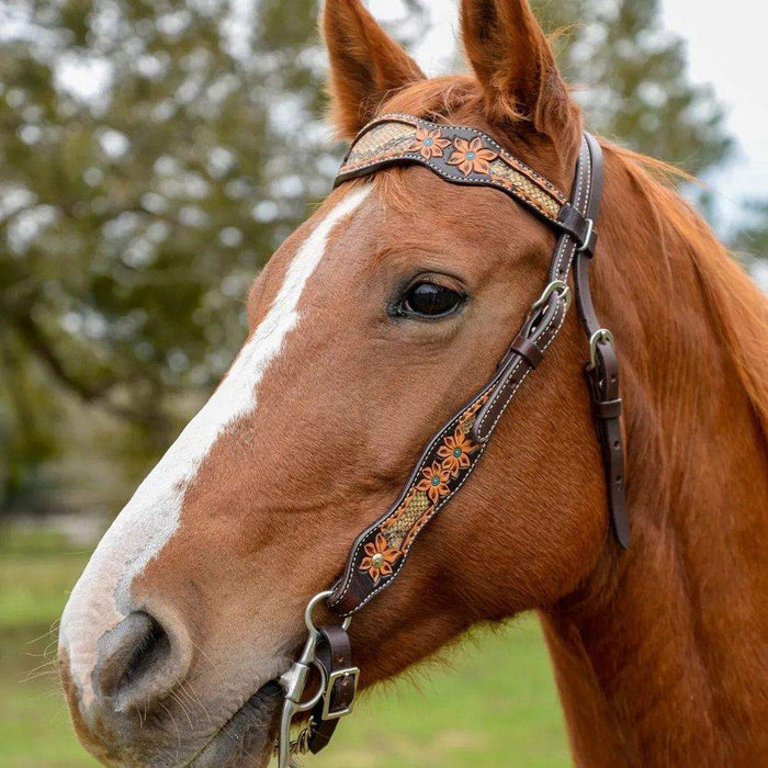 Circle Y Saddlery Python Pass Browband Headstall