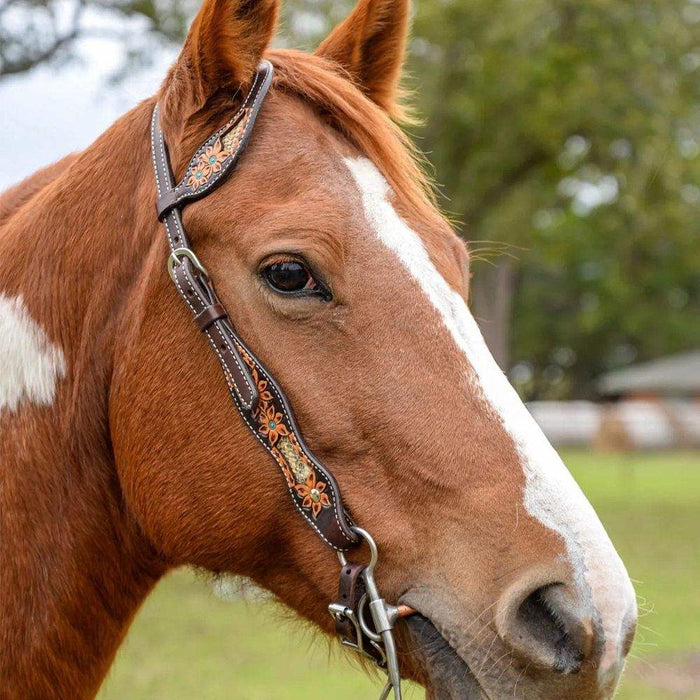 Circle Y Saddlery Reinsman Python Pass Single Ear Headstall