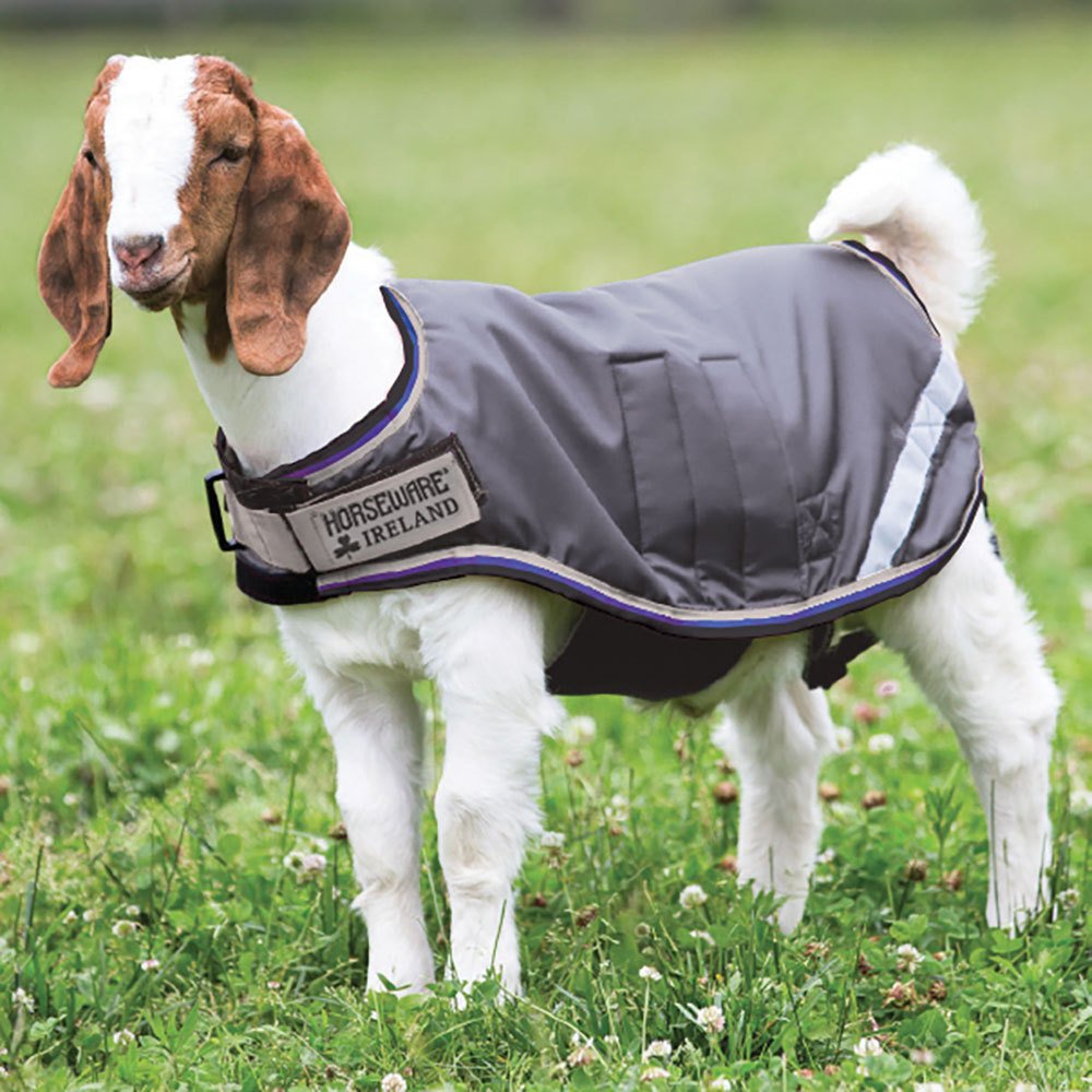Sheep & Goat Coat | Purchase a Sheep Blanket or Lamb Coat Online - NRS
