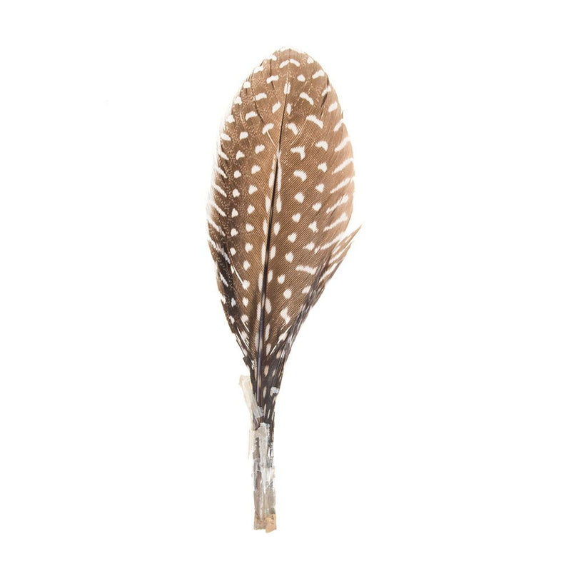 Guinea Hat Feather