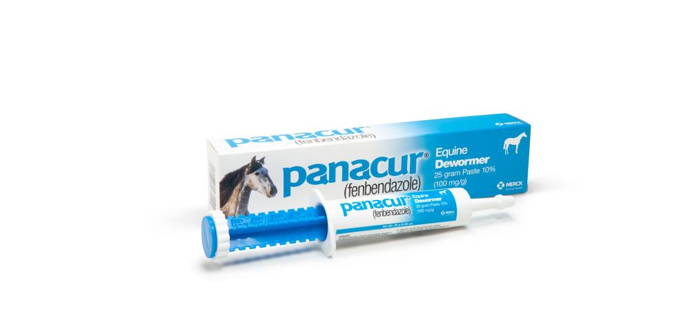 Panacur Horse Dewormer 25gm