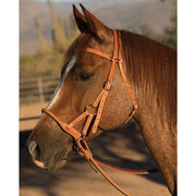 Side Pull Round Leather Nose