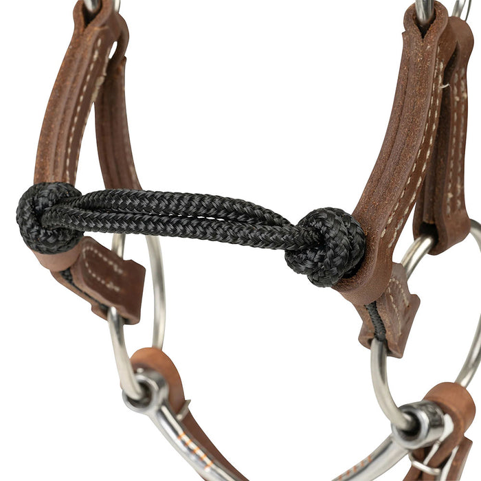 Weaver Leather Kalley Krickeberg Horseman`s Transition Bridle