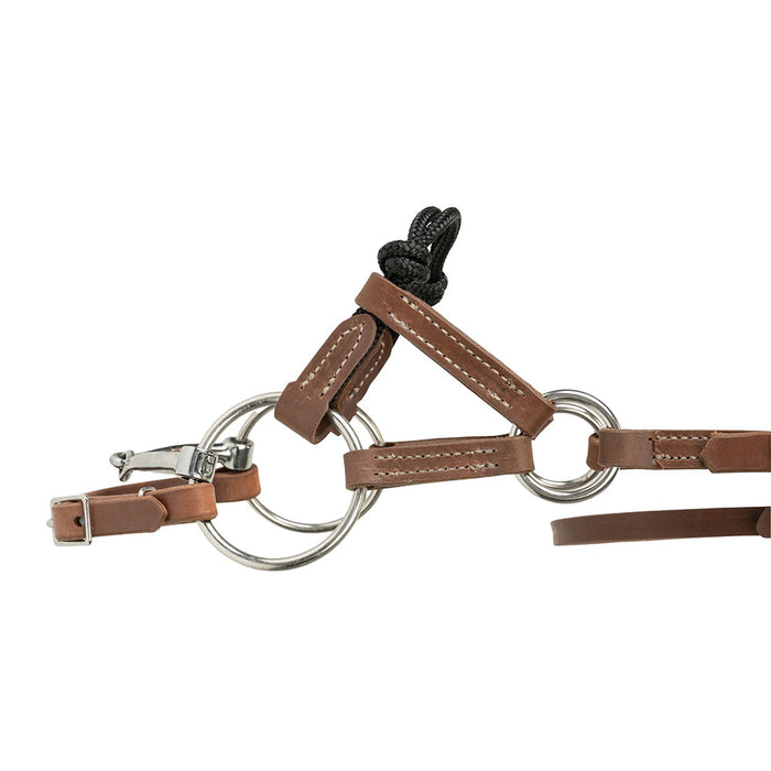 Weaver Leather Kalley Krickeberg Horseman`s Transition Bridle
