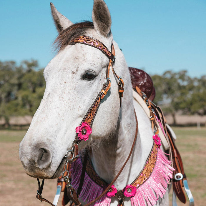 Circle Y Saddlery Malibu Pink Floral Filigree Single Ear Headstall