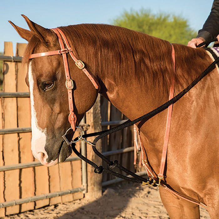 Al Dunning Draw Rope Martingale