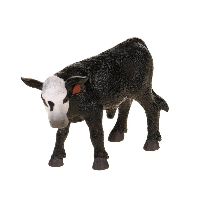 Black/White Face Calf
