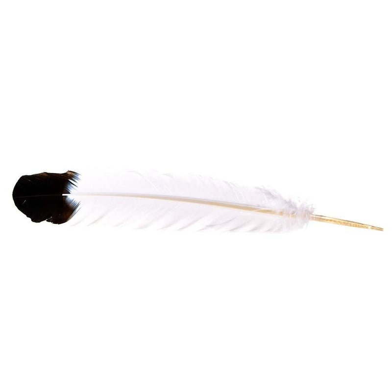 Austin Accent Inc. Imitation Eagle Hat Feather
