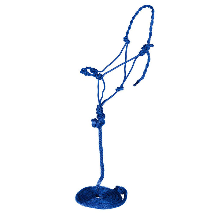 Poly Rope Halter with Lead