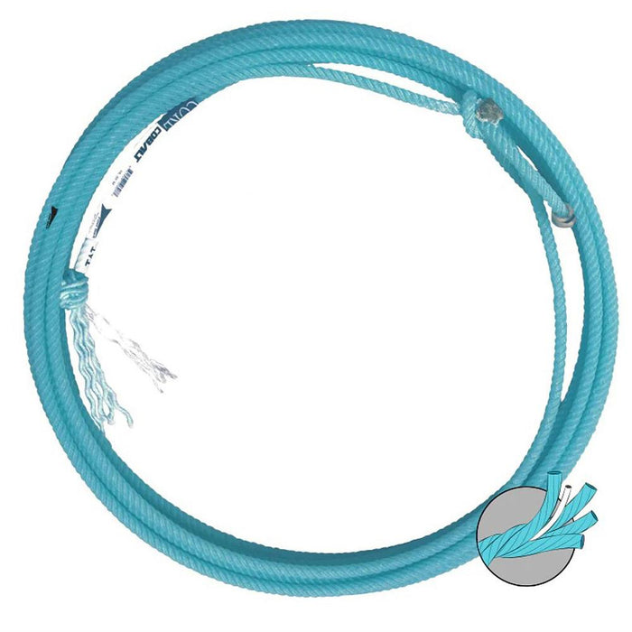 Fast Back alt 31ft Head Rope