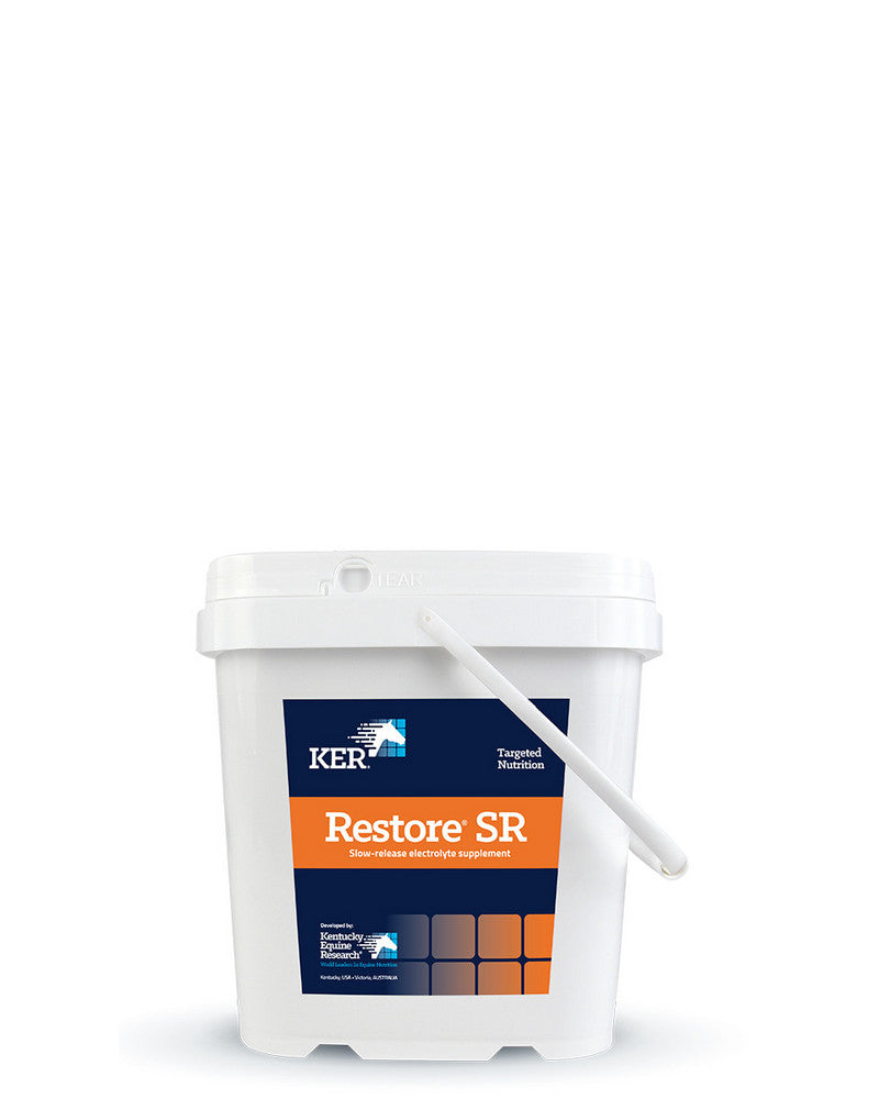 Restore SR