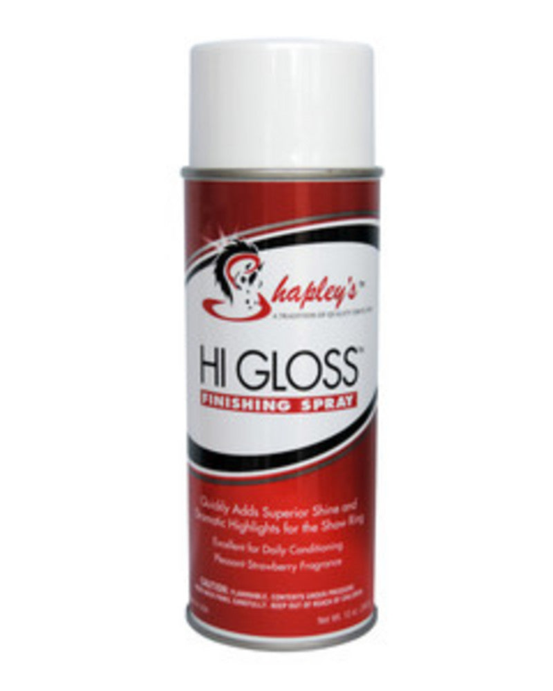 Hi Gloss Finishing Spray 12 oz