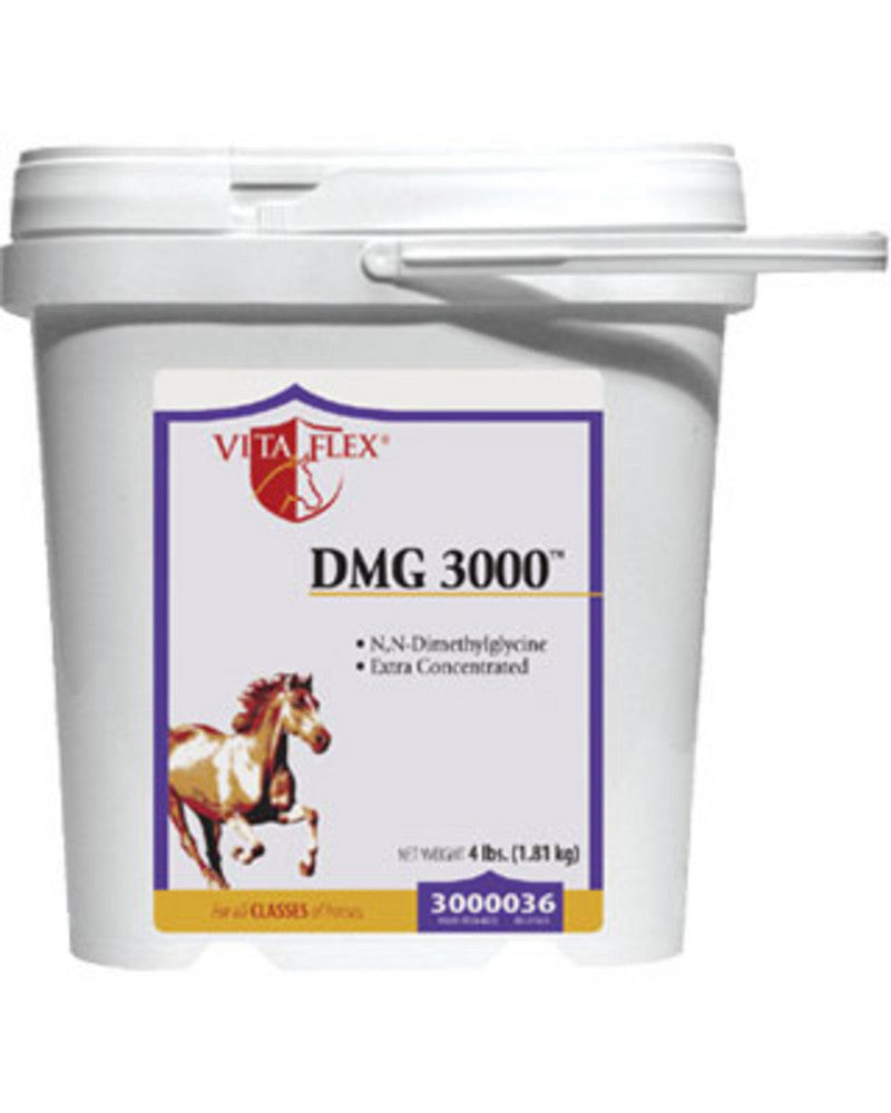 DMG 3000 4lb