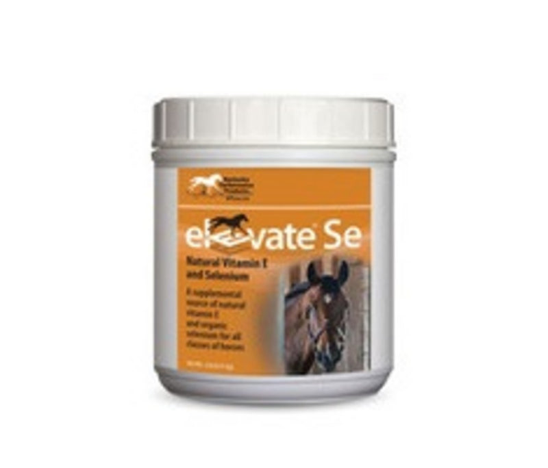 Elevate Se Powder 2lb