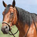 thumbnail image 2 of Mustang Brown Nylon Hackamore Bridle With Bling - Horse Breaking Bridle (Size: 8162) 2 of 4