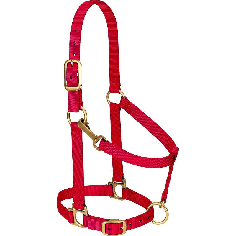 Adjustable Chin and Throat Snap Halter Regular Size